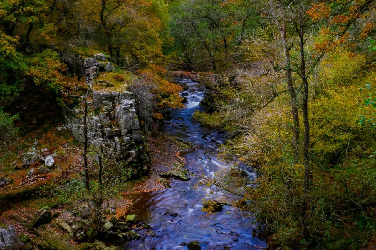 Waterfall Lodge Pontneddfechan Kültér fotó